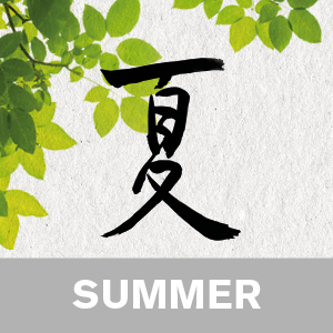 Zen Yoga for Summer video download