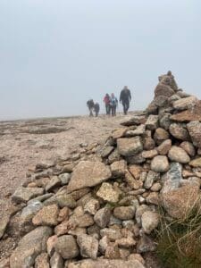 Walking in the mist