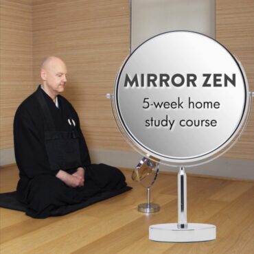Mirror Zen - 5-week home study course